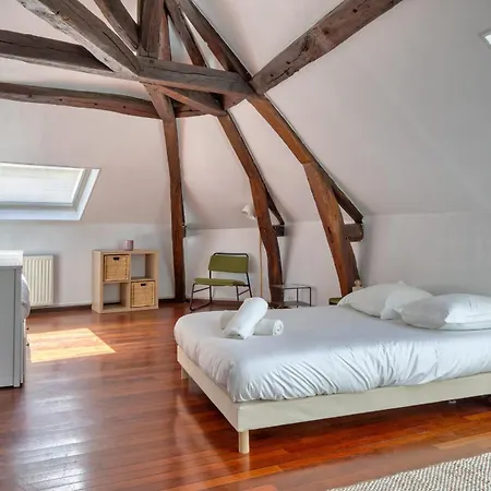 Geoffroy Sublime Duplex A Proximite De La Place Du Vieux Marche Apartment Rouen